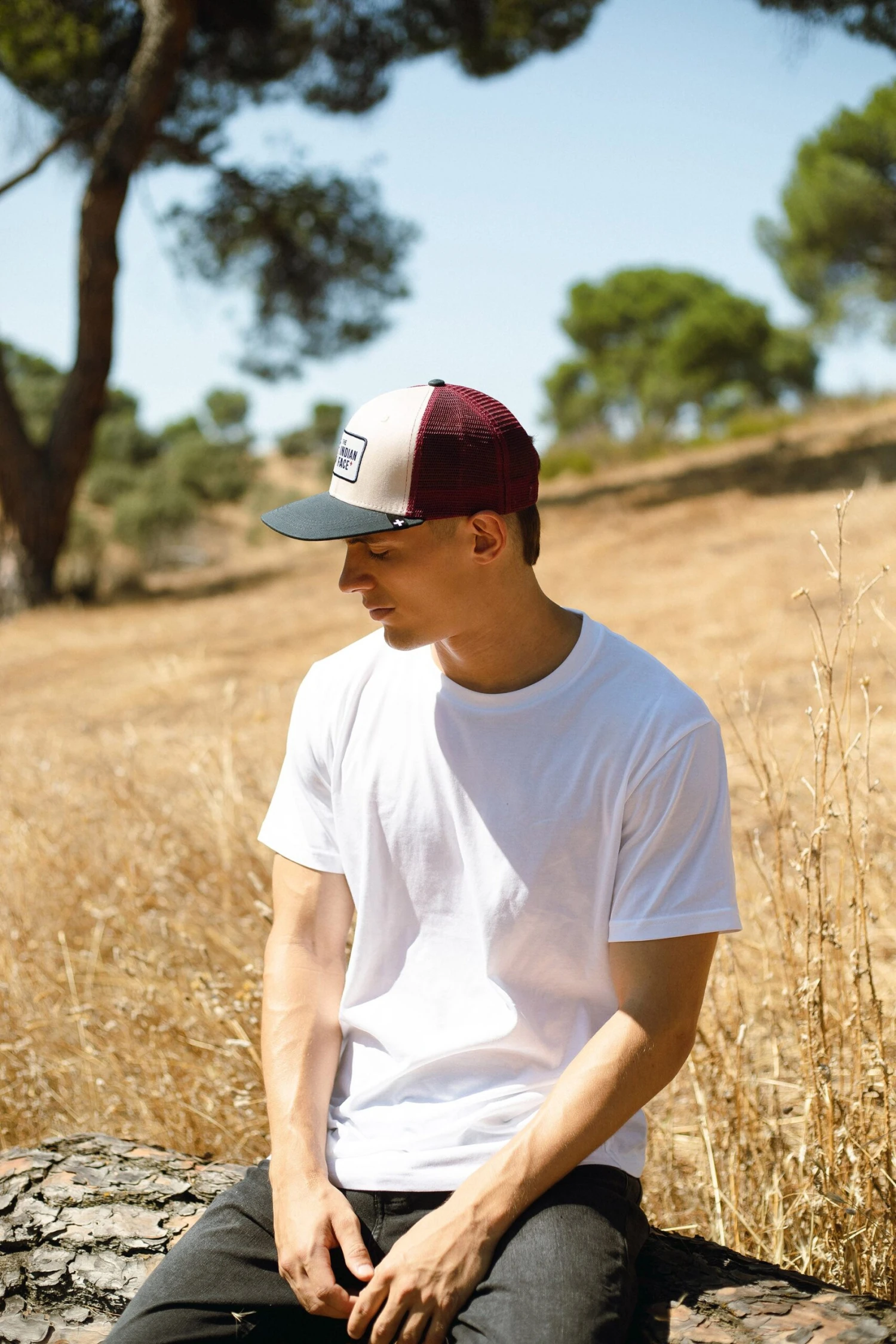 Latitude Navy Blue / Beige / Red Wine 11 Latitude Navy Blue / Beige / Red Wine - Imagen 9