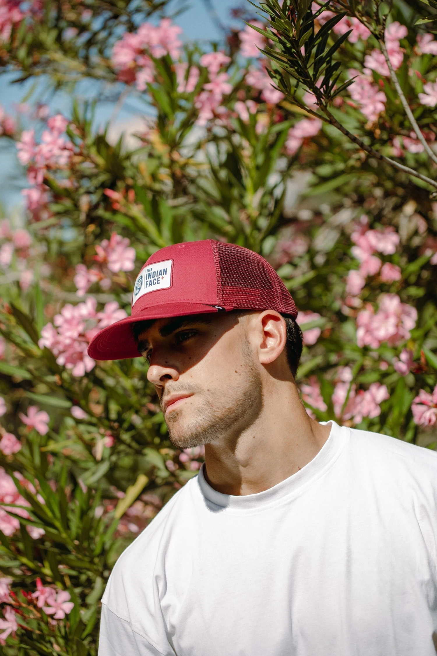 Latitude Red Wine 12 Latitude Red Wine - Imagen 10