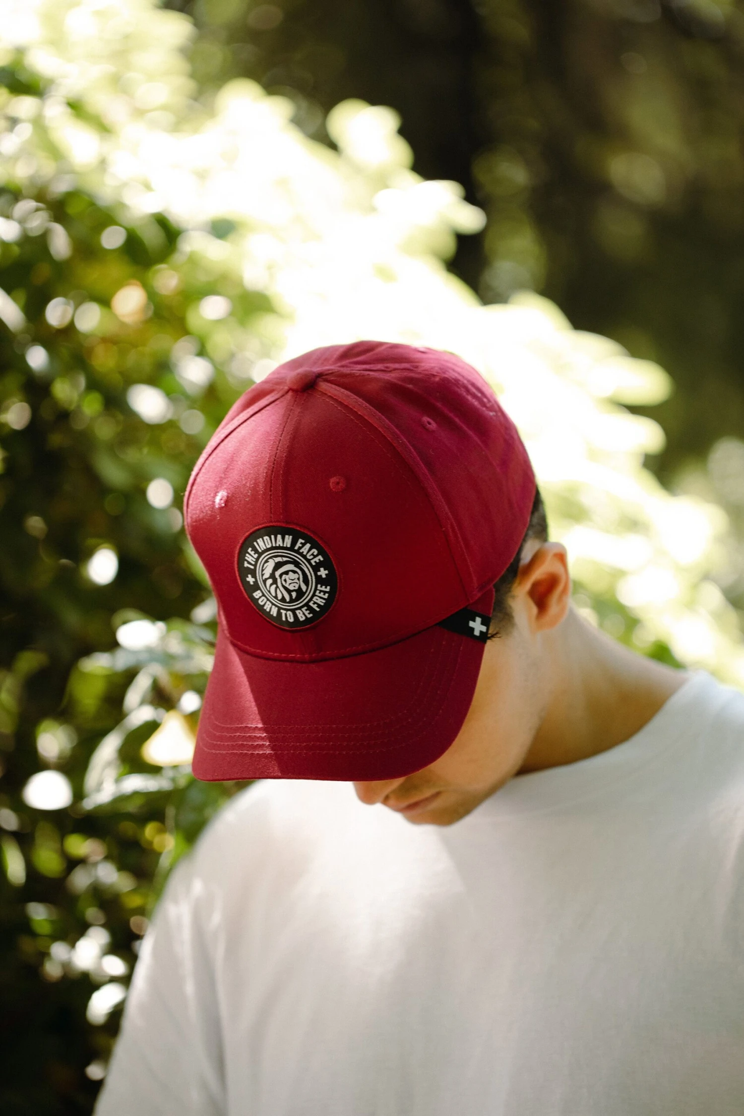 Action Red Wine 15 Action Red Wine - Imagen 13