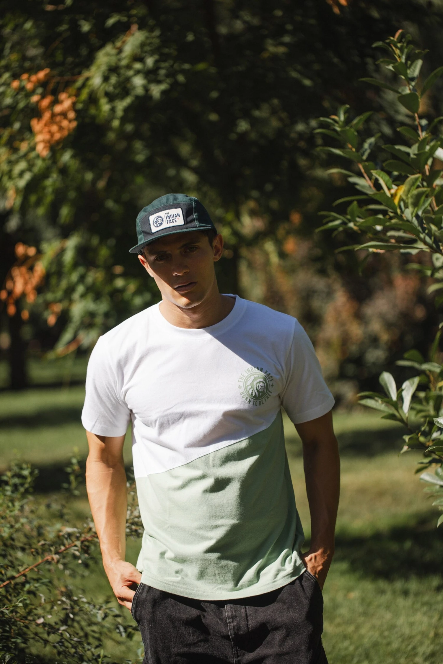 Bowl Green / Navy Blue 10 Bowl Green / Navy Blue - Imagen 8