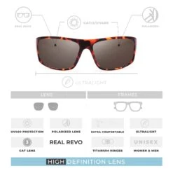 Outbreak Tortoise / Brown -The Indian Face Ventas 24 026 05 05