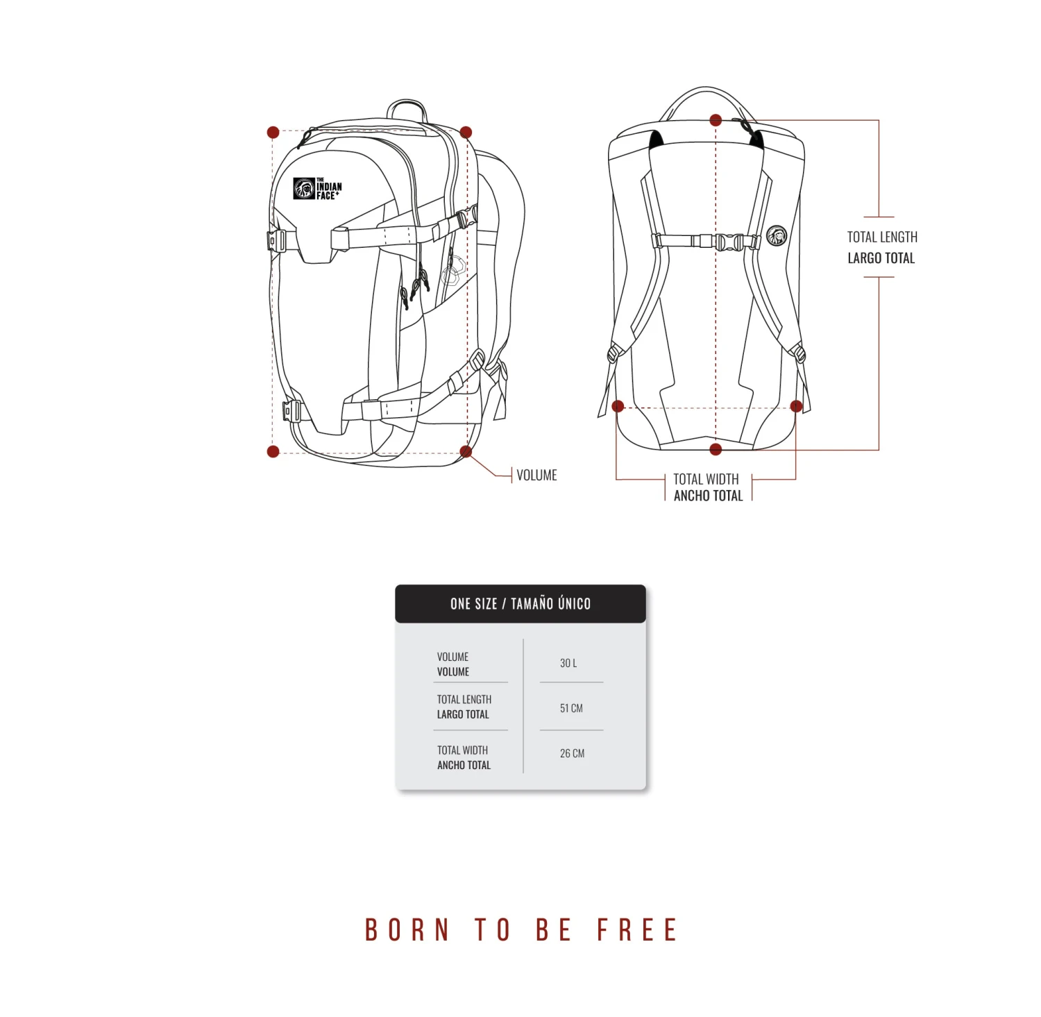 Atlas Yellow 12 Atlas Yellow - Imagen 10