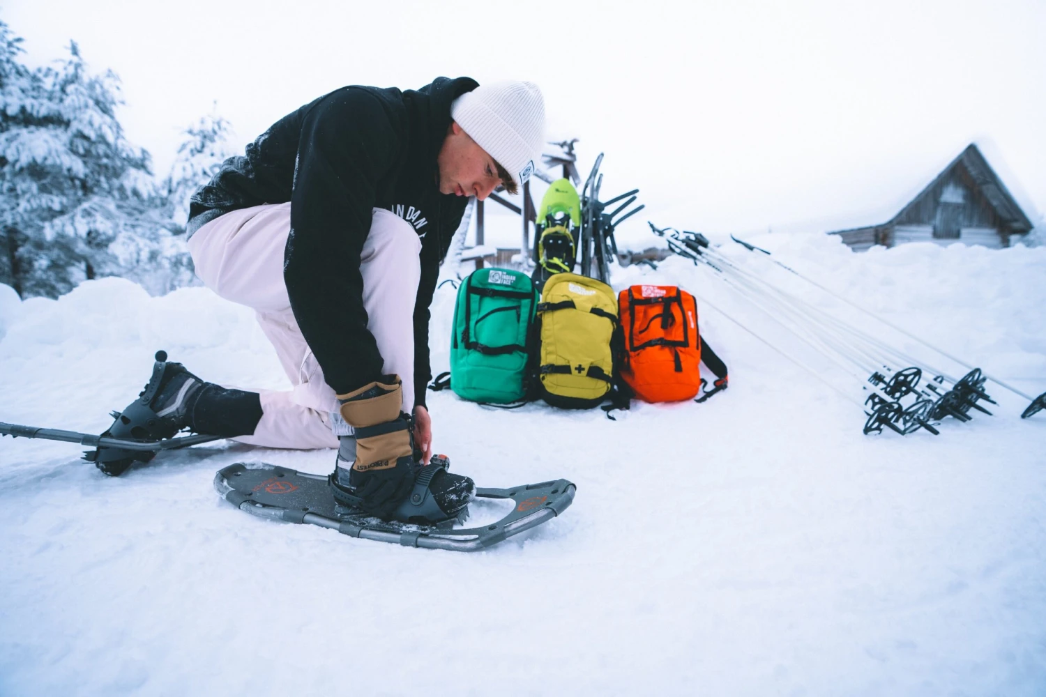 Alpine Beige 16 Alpine Beige - Imagen 14