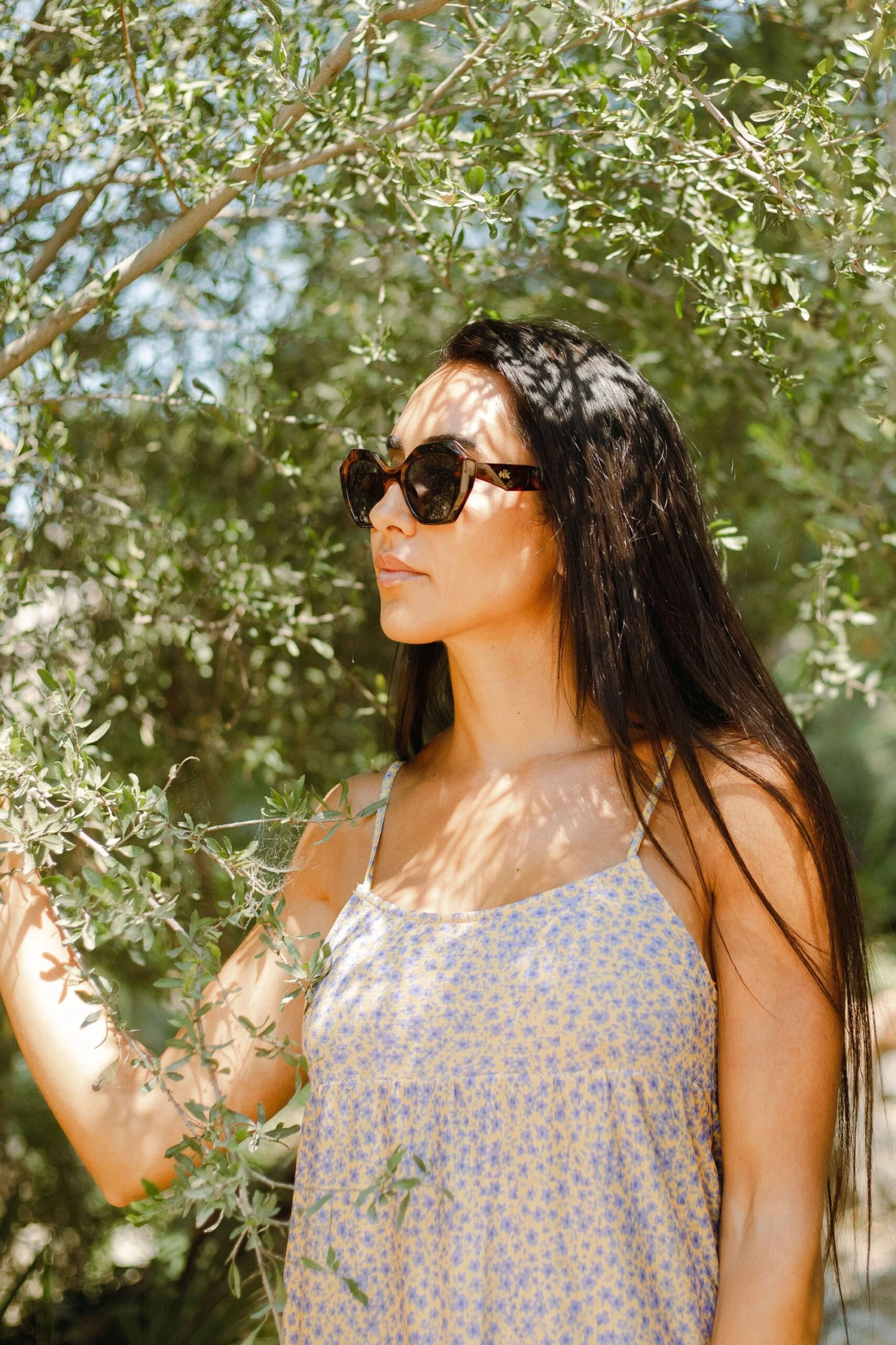 Moorea Tortoise / Black 16 Moorea Tortoise / Black - Imagen 14