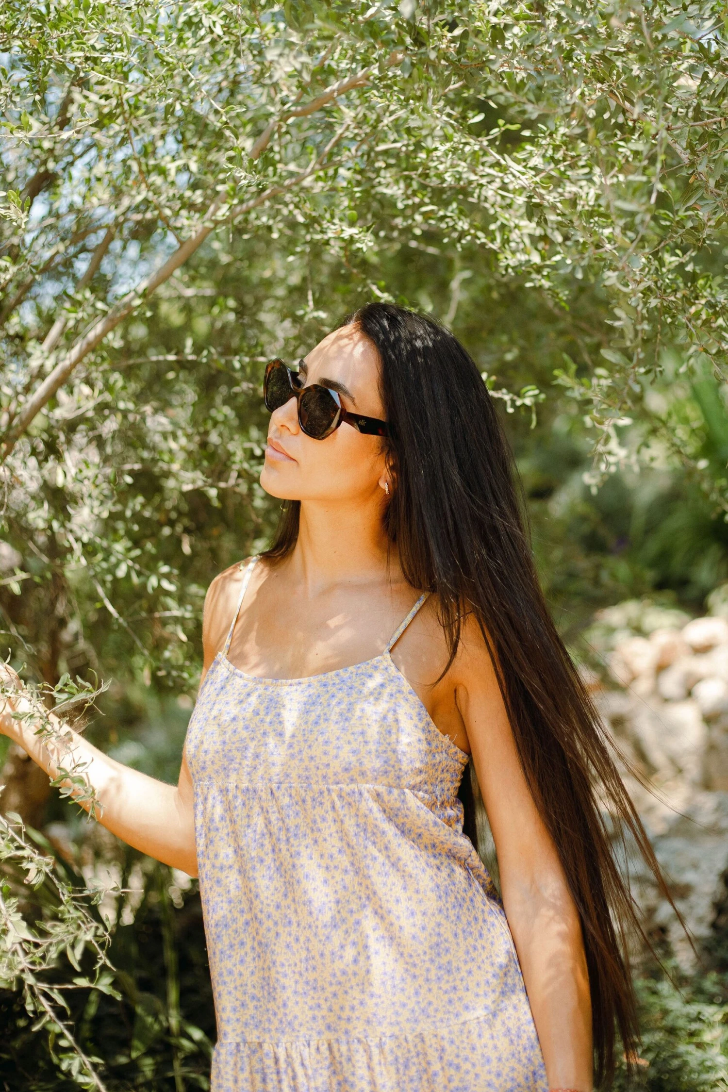 Moorea Tortoise / Black 18 Moorea Tortoise / Black - Imagen 16