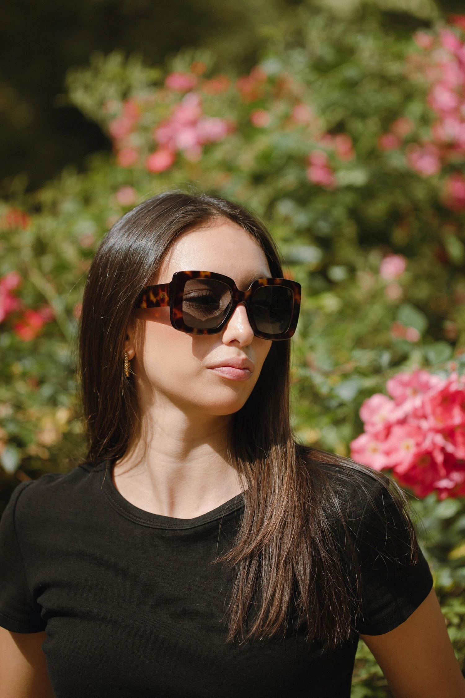 Fuerteventura Tortoise / Black 14 Fuerteventura Tortoise / Black - Imagen 12