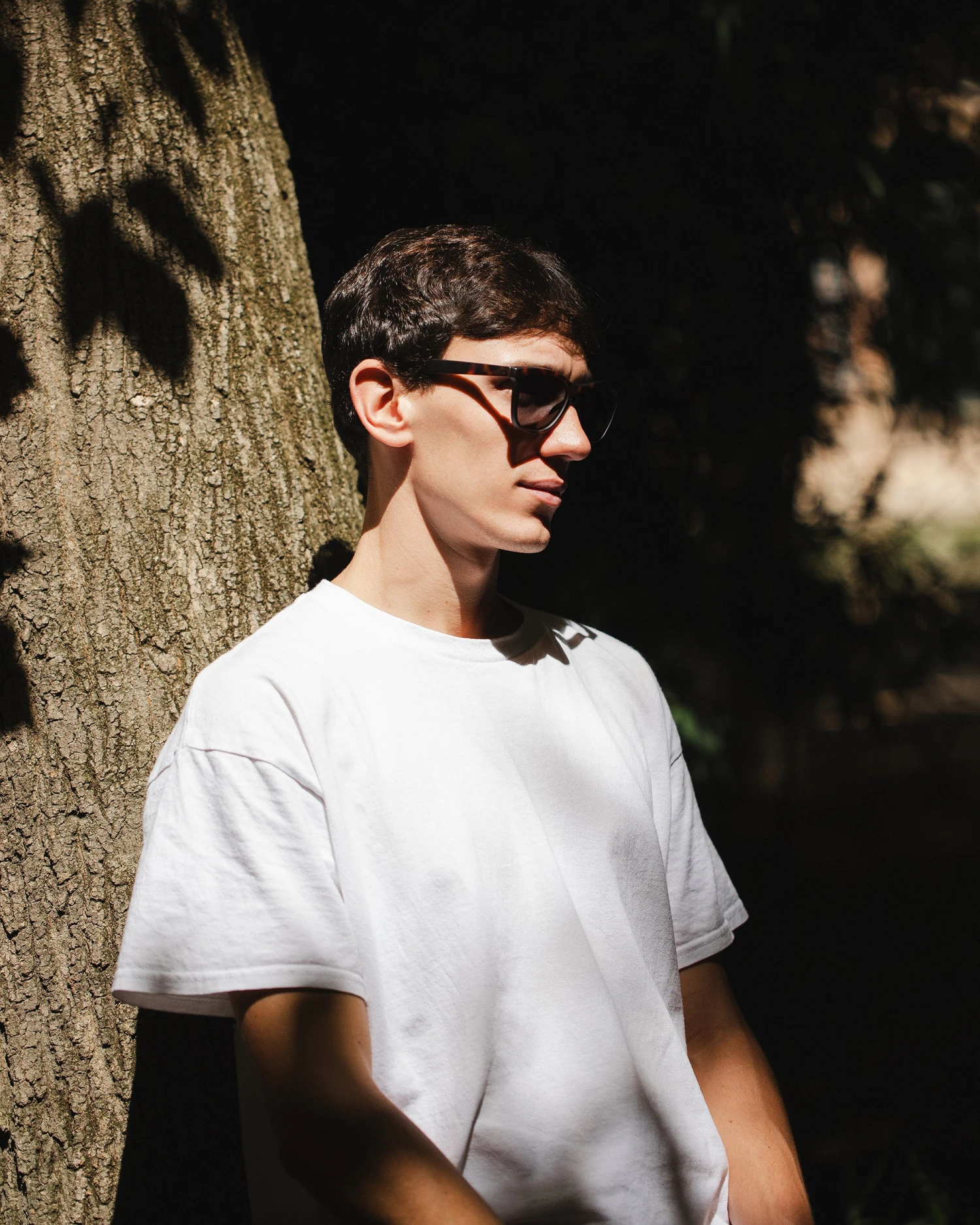 Sunsetter Tortoise / Black 8 Sunsetter Tortoise / Black - Imagen 6