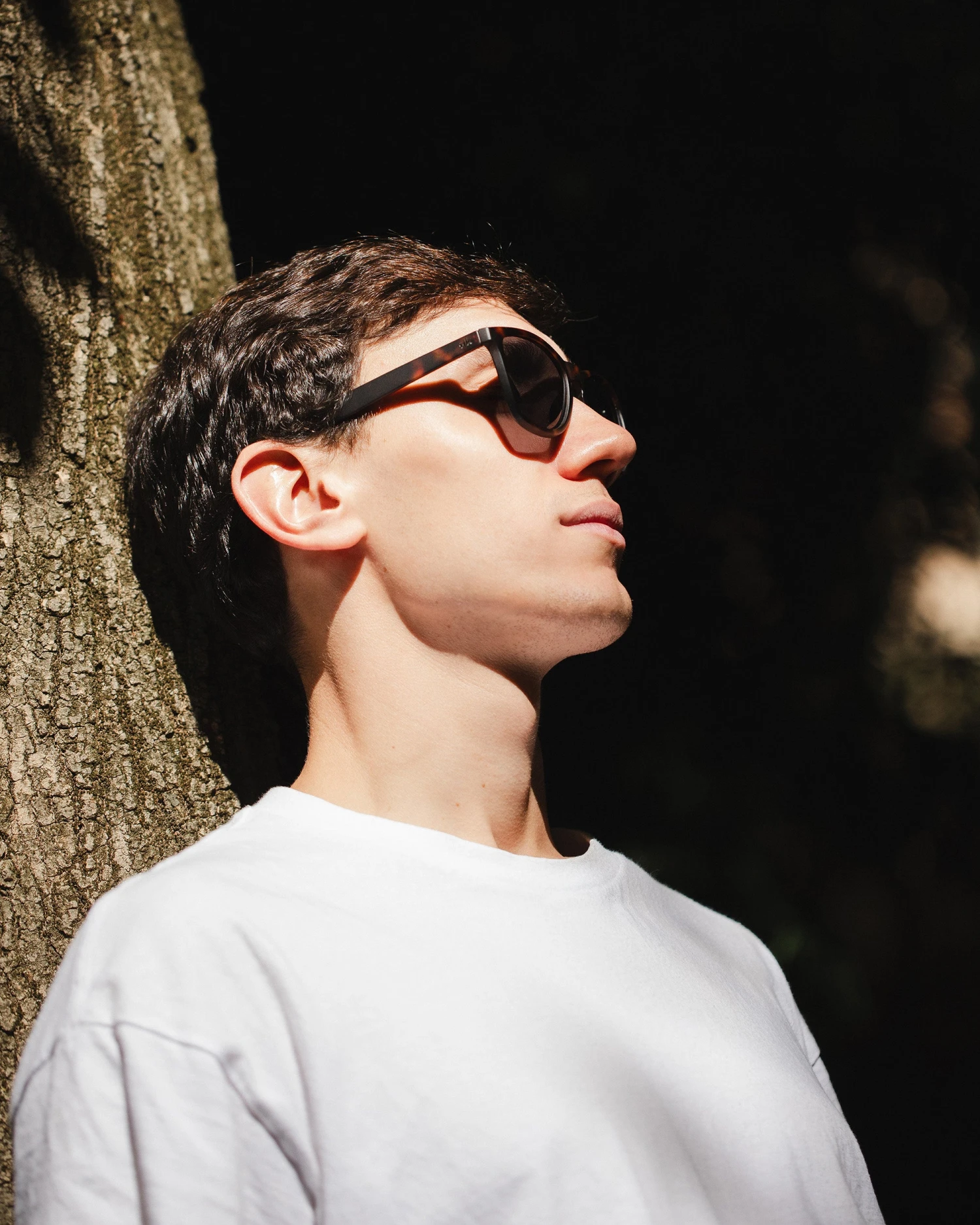 Sunsetter Tortoise / Black 10 Sunsetter Tortoise / Black - Imagen 8