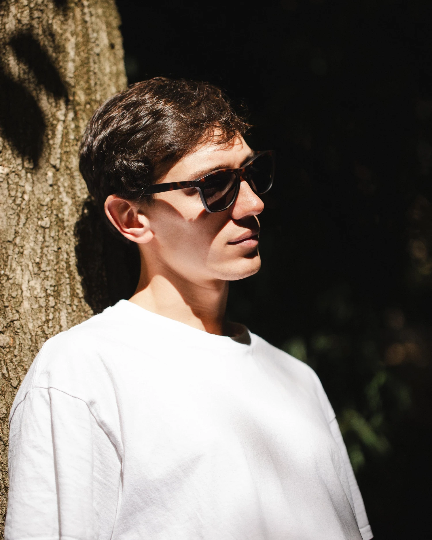 Sunsetter Tortoise / Black 11 Sunsetter Tortoise / Black - Imagen 9