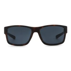 Biarritz Tortoise / Black -The Indian Face Ventas HK A01 24M12C02 05