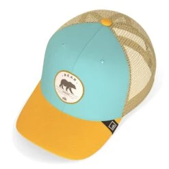 Bear Truck Blue / Yellow -The Indian Face Ventas HK A05 24M01C10 03