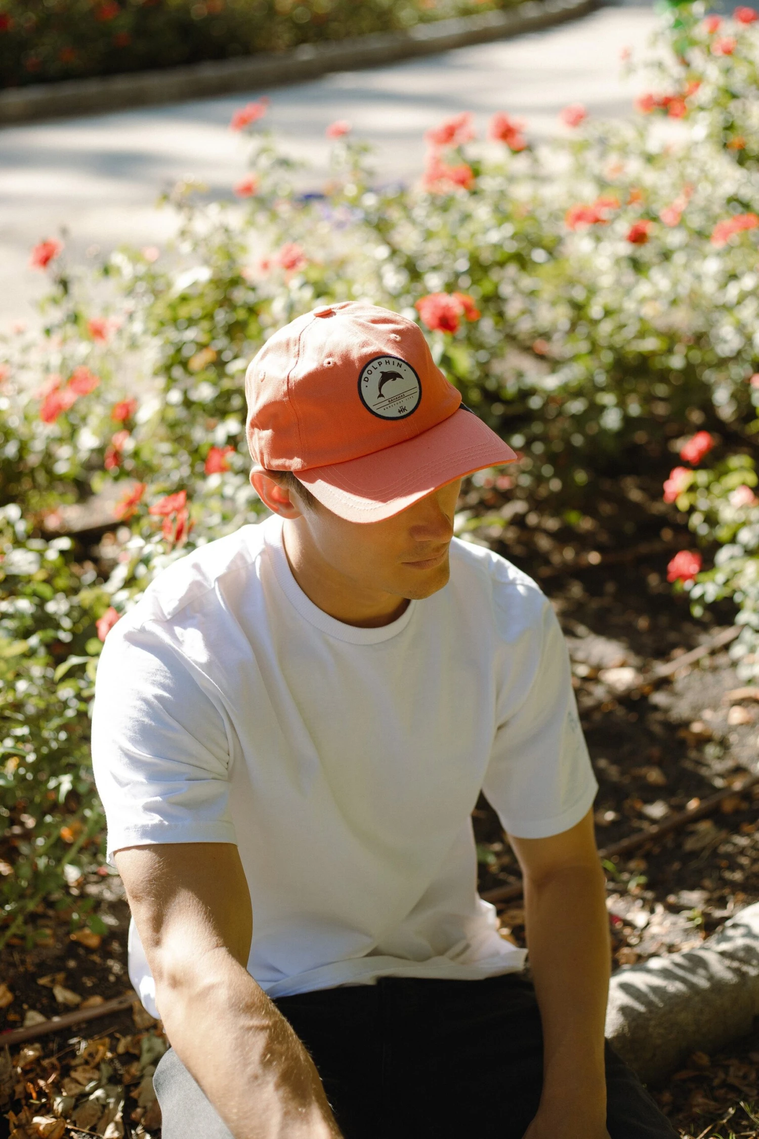 Dolphin Coral / Blue 5 Dolphin Coral / Blue - Imagen 3