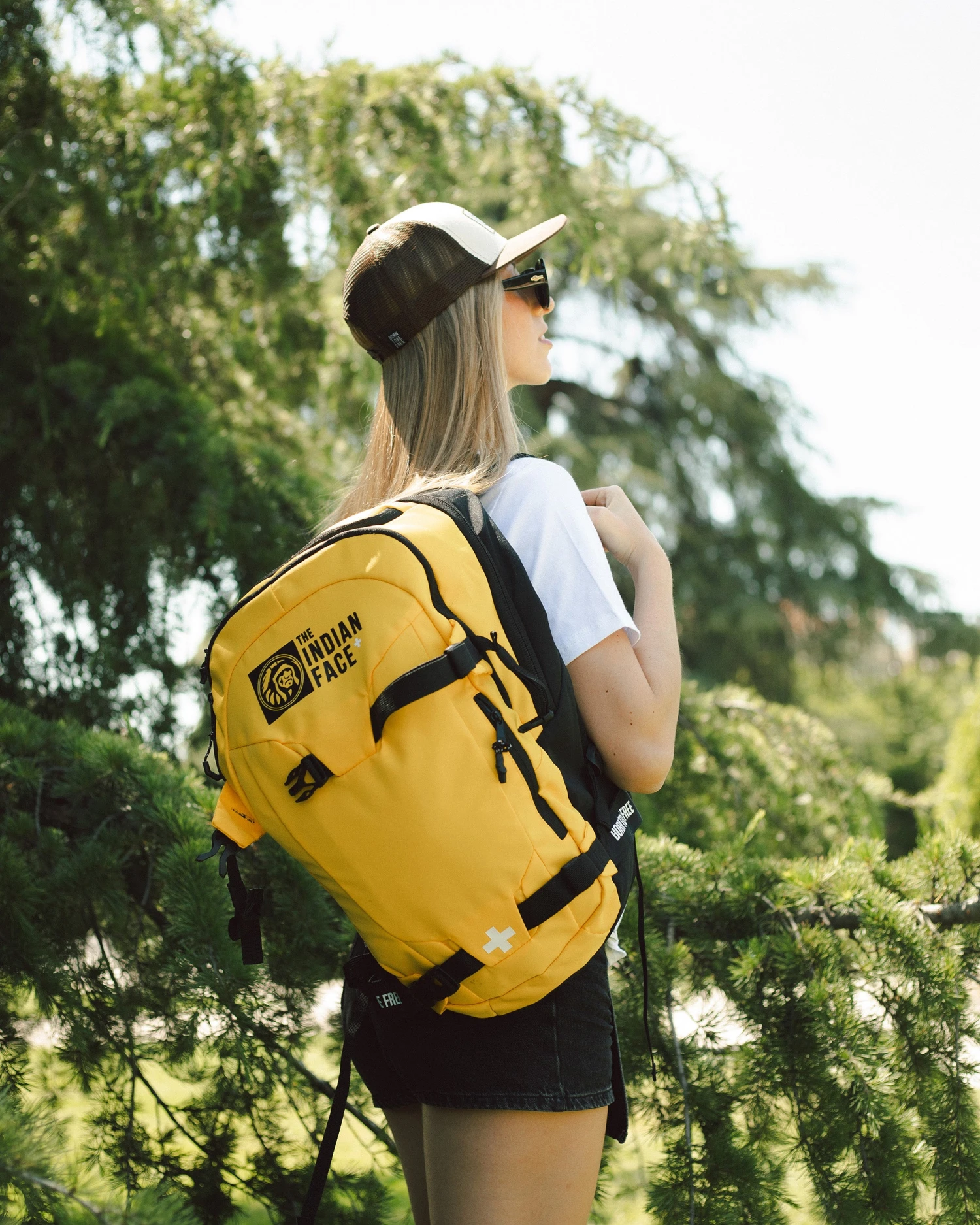 Atlas Yellow 5 Atlas Yellow - Imagen 3