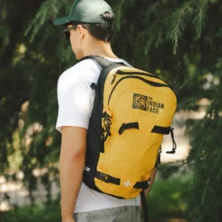 Atlas Yellow 13 Atlas Yellow -The Indian Face Ventas IF A08 23M01C06 05 08749822 90f4 4f20 9e35 4a78b342cb1d