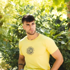 Spirit Yellow 14 Spirit Yellow -The Indian Face Ventas IF R01 23M01C06 11 scaled