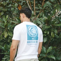 The Indian Face Ventas -The Indian Face Ventas IF R01 23M03C01 15 scaled