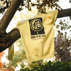 Nomad Yellow 15 Nomad Yellow -The Indian Face Ventas IF R02 23M04C03 05