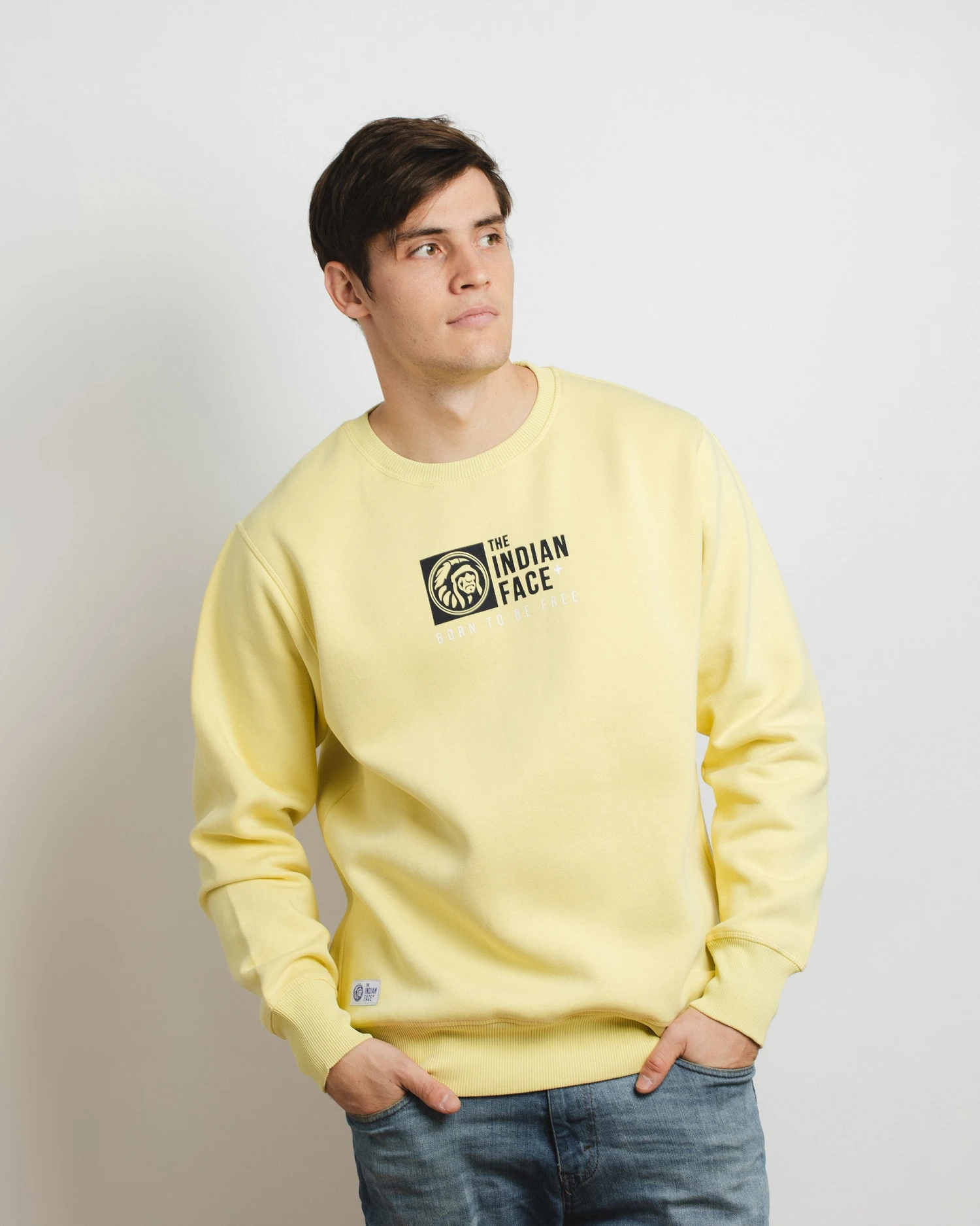 Nomad Yellow 7 Nomad Yellow - Imagen 5