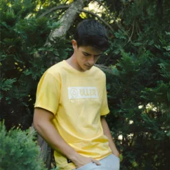 Classic Yellow 12 Classic Yellow -The Indian Face Ventas UL R01 23M03C03 13 scaled