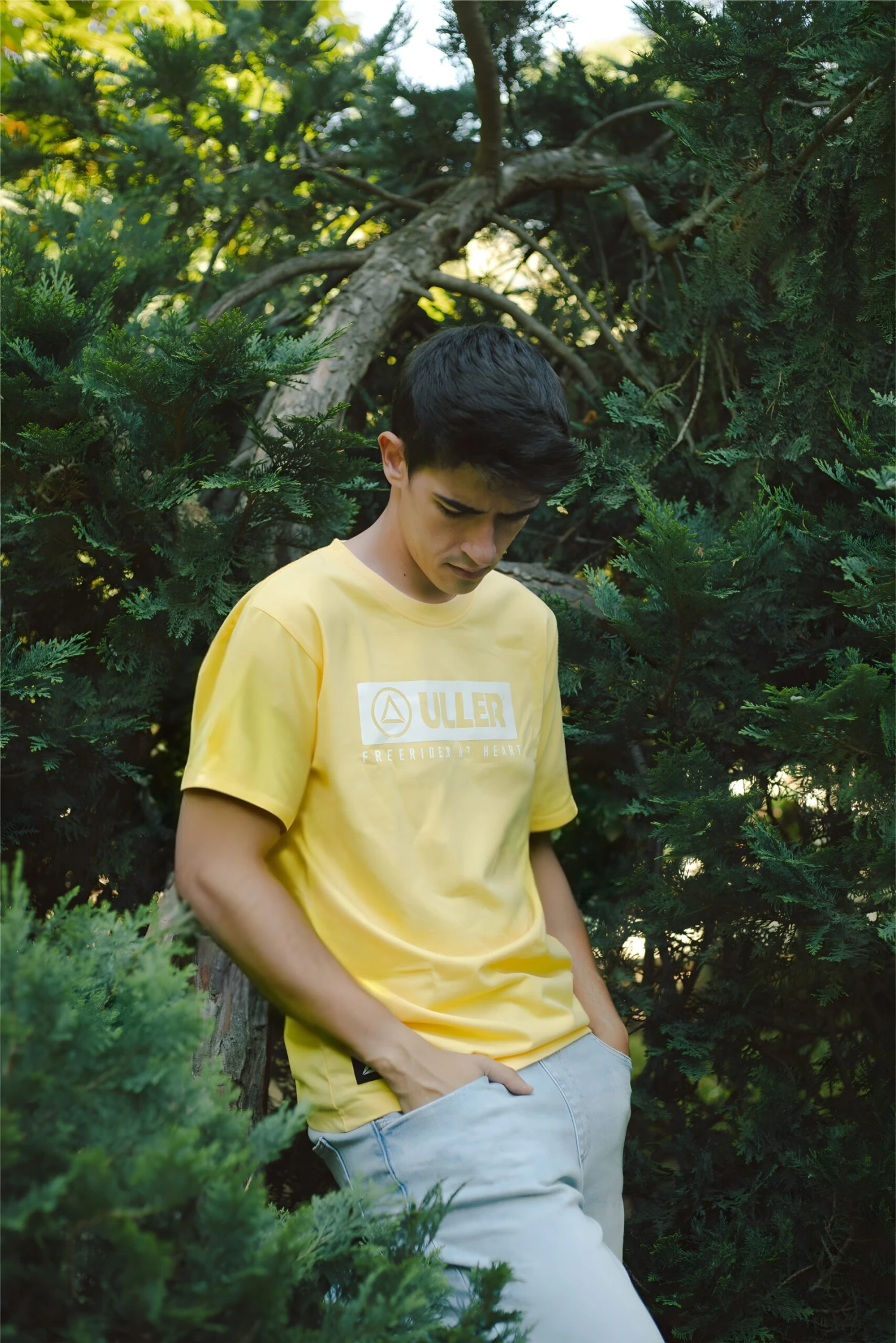 Classic Yellow 4 Classic Yellow - Imagen 2