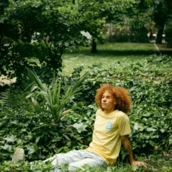 Iconic Yellow 22 Iconic Yellow -The Indian Face Ventas UL R01 23M04C03 7 scaled