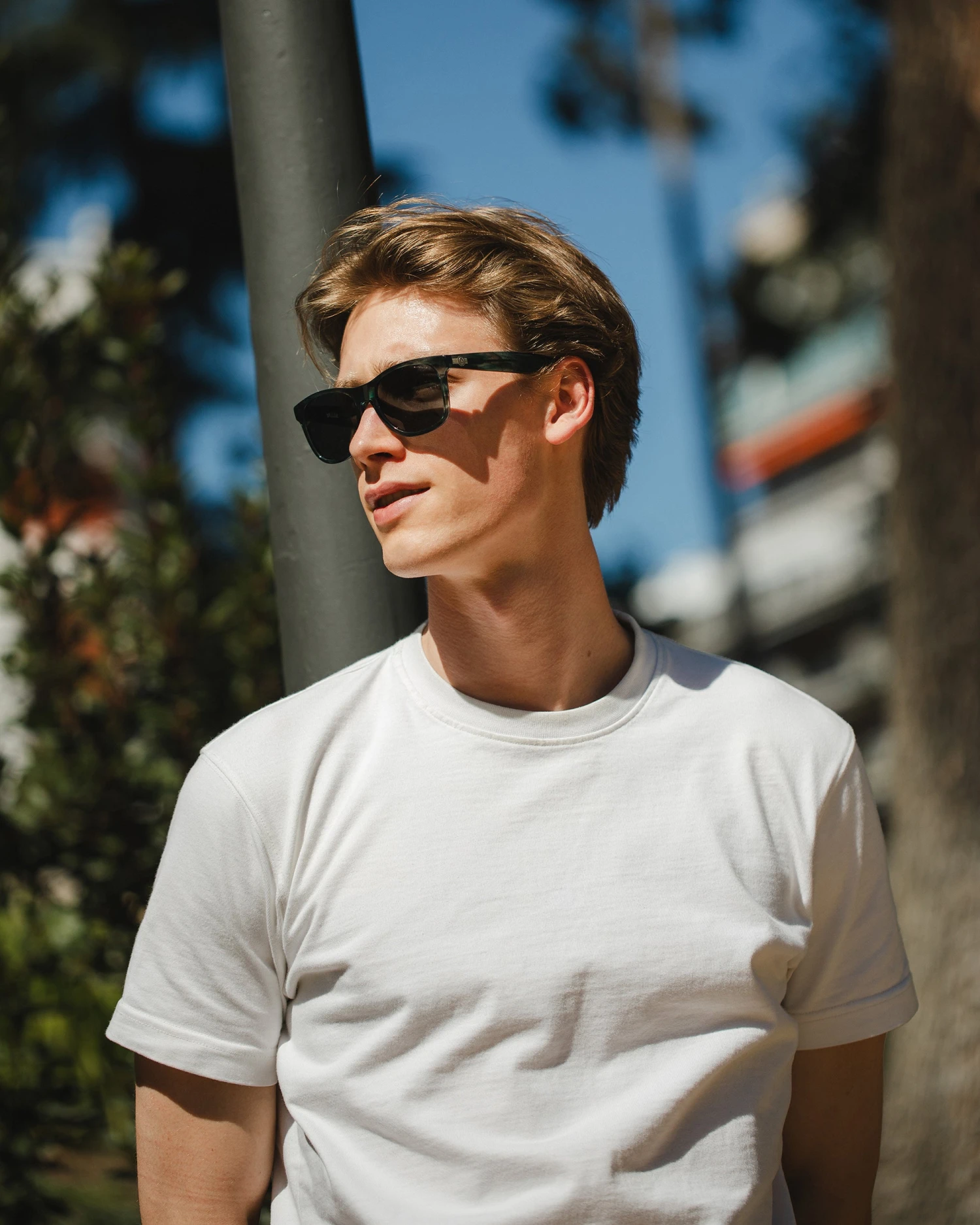 Mountain Green Tortoise / Black 4 Mountain Green Tortoise / Black - Imagen 2