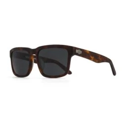 Artic Brown Tortoise / Black