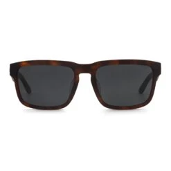 Artic Brown Tortoise / Black -The Indian Face Ventas UL S16 04 05