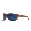 Alpine Brown Tortoise / Blue