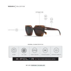 Sequoia Brown Tortoise / Brown -The Indian Face Ventas UL S24 02 06