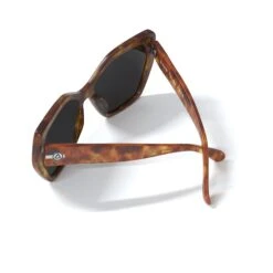 Phi Phi Brown Tortoise / Brown -The Indian Face Ventas UL S26 02 05