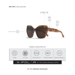 Phi Phi Brown Tortoise / Brown -The Indian Face Ventas UL S26 02 06